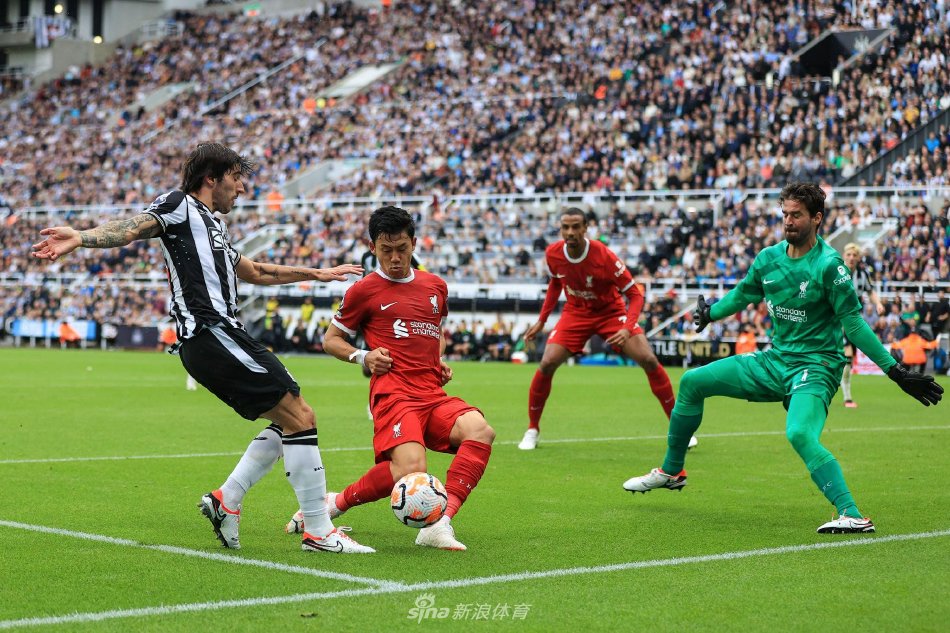 集训选择赴 集训选择赴